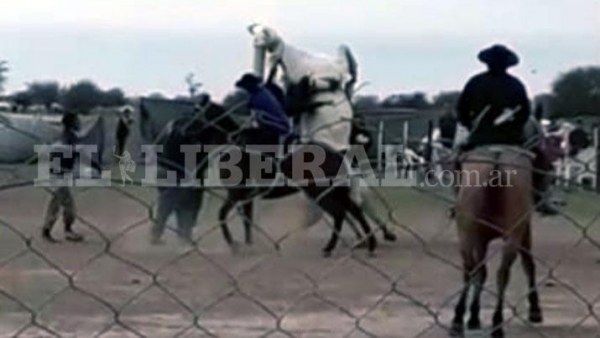 Impactante video | Un caballo muere mientras participaba de una doma