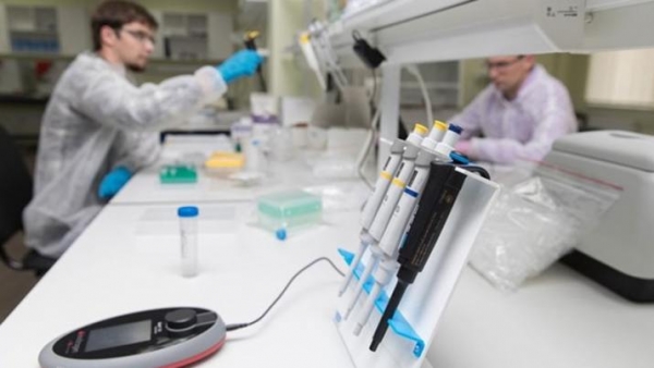 Un estudio descubrió una fórmula que permite eliminar el virus del VIH
