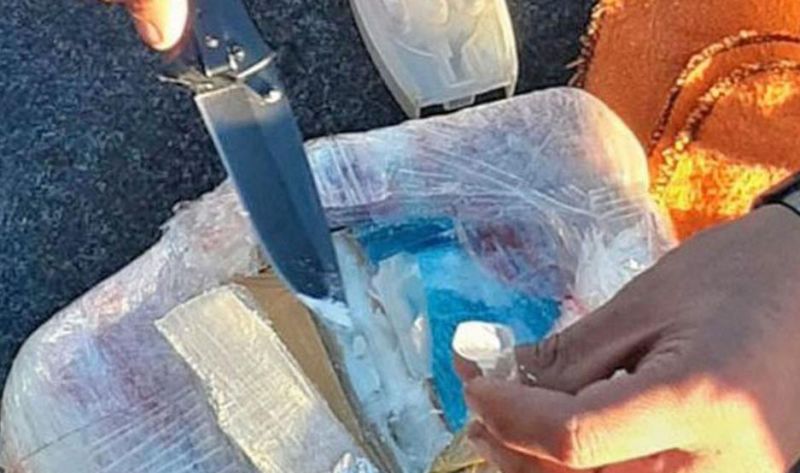 Revelan que a Santiago llega cocaína ''estirada'' hasta con un antiparasitario de uso animal