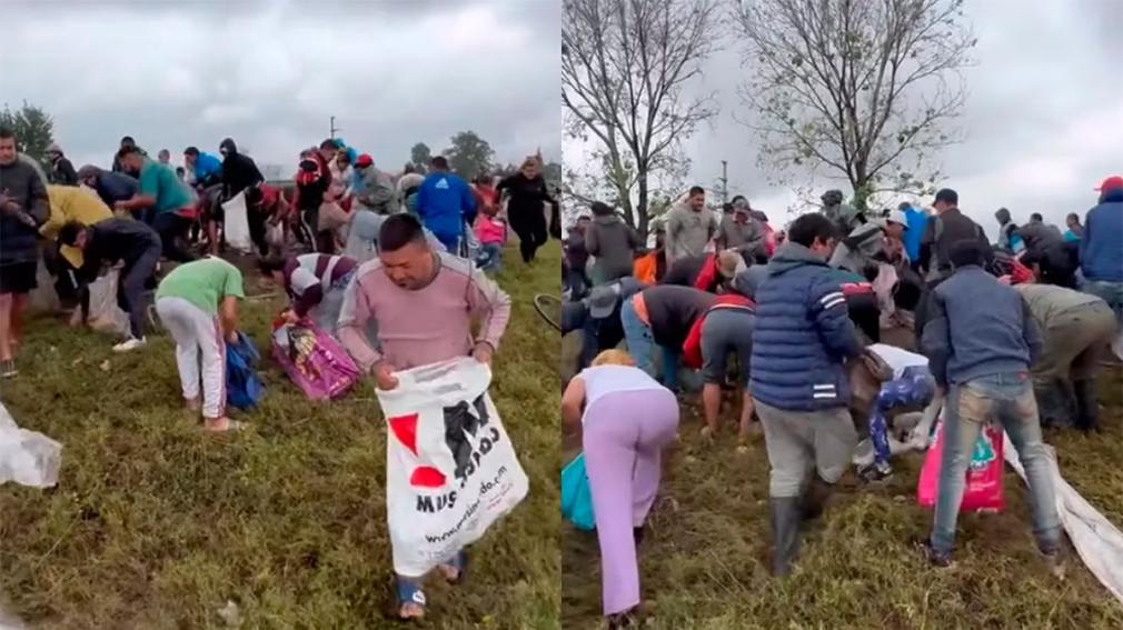 Vecinos saquearon un cargamento de papas tras el vuelco del camión que las transportaba
