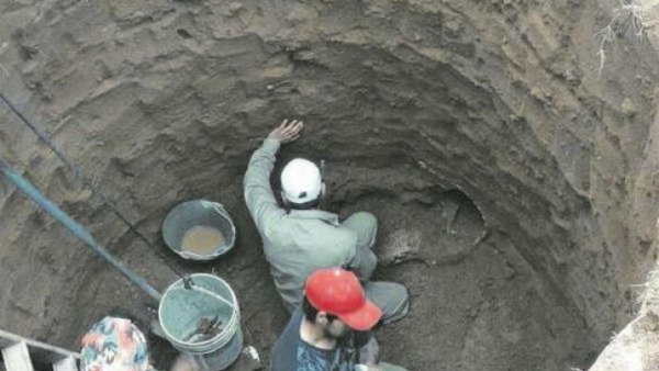 Cavaban un pozo en un campo y dieron con un caparazón gigante