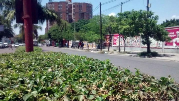 Anuncian una máxima de 32ºC para este miércoles