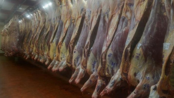 Argentina le pedirá a EEUU que levante las trabas a la importación de carne