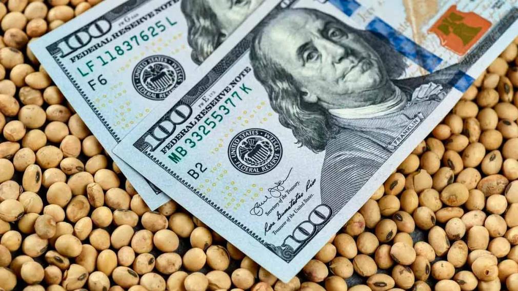 Proyectan que en 2024 las agroexportaciones aportarán 43.000 millones de dólares