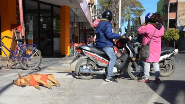 Anuncian un lunes con 21 grados de máxima