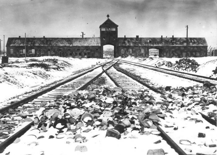 A 75 años del cierre de Auschwitz: el plan final del Holocausto, una reunión de 90 minutos