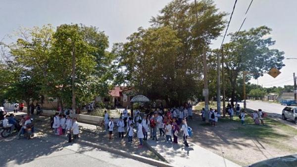 Por invasión de abejas, suspendieron las clases en una escuela bandeña
