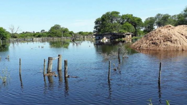 En el noreste cayó en 40 días la lluvia de casi un año y hay 80 mil hectáreas afectadas