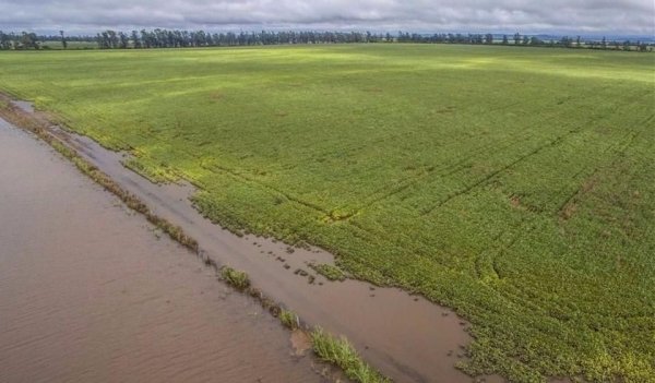 Encontraron el cuerpo de una mujer en un río de Salvador Mazza