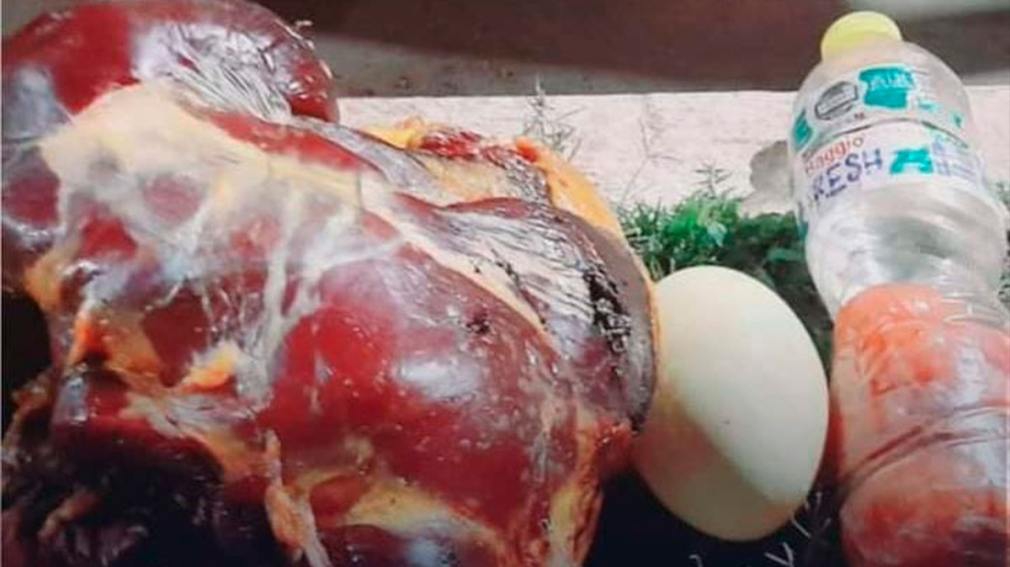 Malbrán: detienen a un hombre que llevaba un suri recién faenado