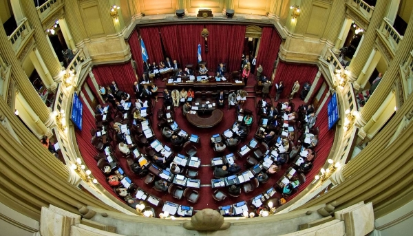 Aseguran que se consolida el rechazo al aborto por parte de la Cámara de Senadores