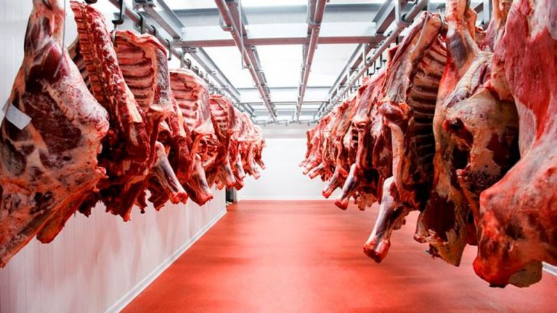 Advierten que si los precios siguen aumentando podrían cerrar las exportaciones de carne