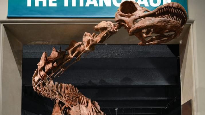El dinosaurio más grande del mundo llega al CCB
