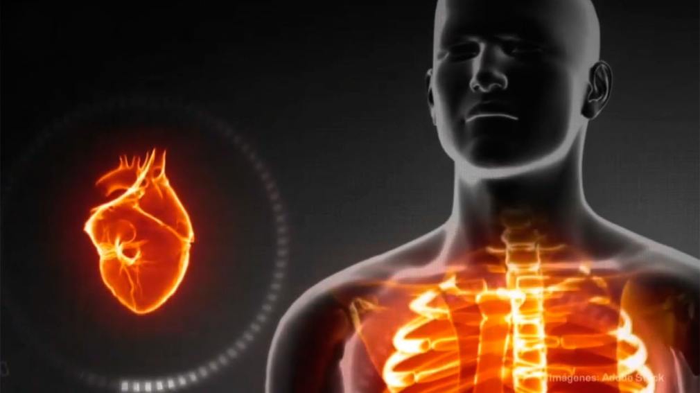 Consejos para Mantener un Corazón Saludable a Cualquier Edad