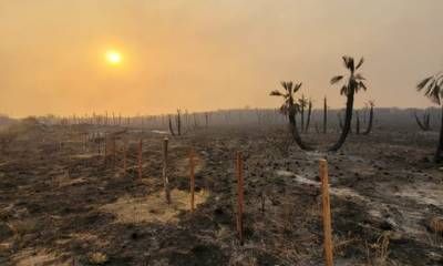 Incendios forestales, evacuados y tres muertos en Córdoba