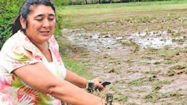 "Los porcinos murieron a causa de la piedra y de hipotermia"