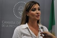 El hijo menor de la diputada Panzardi, uno de los 53 chaqueños afectados por gripe A