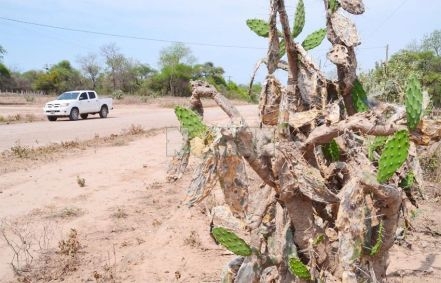 La nafta a 37 pesos; la garrafa de gas a 400 y el pan a 40: así se vive en El Sauzalito