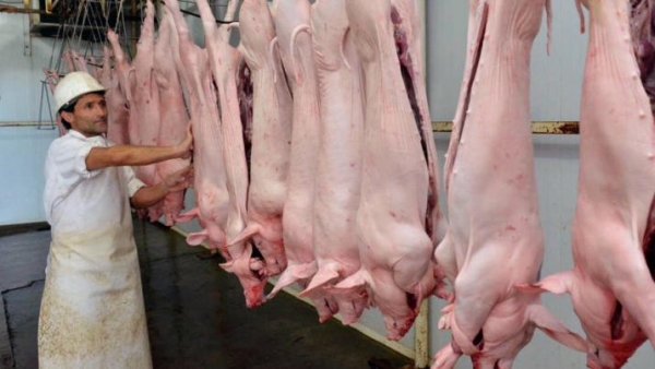 CARNICERÍAS Crecen las consultas por lechones que cotizan entre $90 y $100 el kg, pero la gente demora la compra