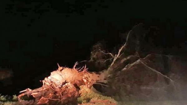 Temporal de viento y lluvia afectó a la localidad de Cuatro Bocas