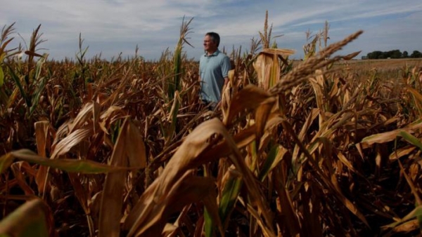 Por la sequía, el campo perderá US$ 4650 millones