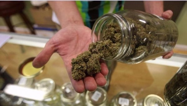 El Gobierno nacional promulgó la ley de cannabis para uso medicinal