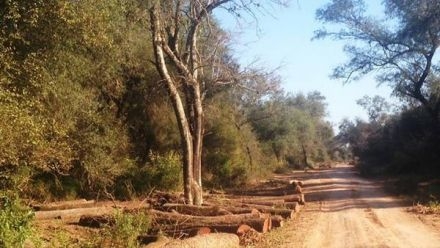Un adolescente murió en El Impenetrable cuando regresaba del colegio