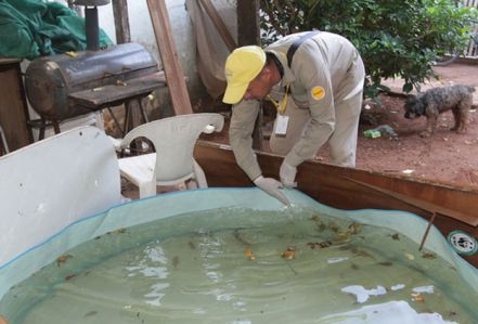 Paraguay: confirmaron dos nuevos casos de dengue y unos 300 posibes
