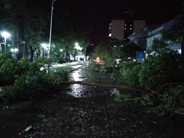 La tormenta generó innumerables inconvenientes en Resistencia