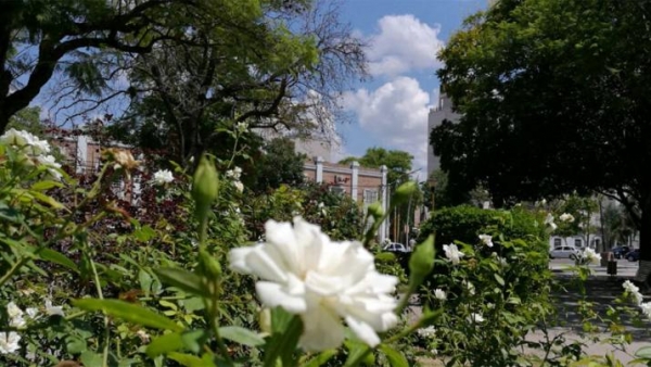 Santiago tendrá un sábado primaveral con máxima de 32 grados
