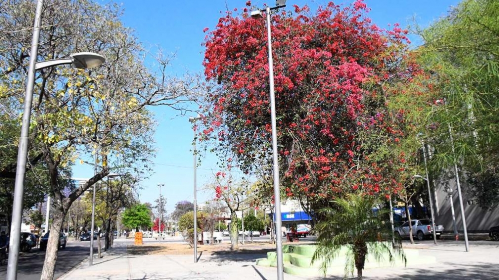 La semana arranca con una máxima de 34ºC sobre Santiago del Estero