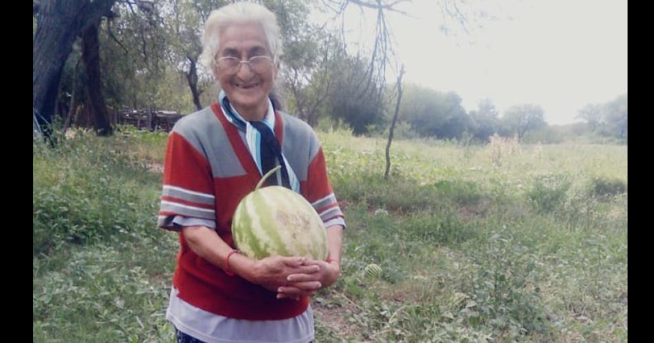 Tiene 92 años y cosechó zapallos gigantes a pesar de la sequía.