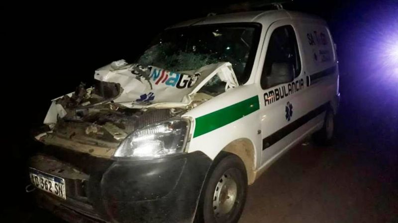 Una ambulancia con pacientes embistió a un animal sobre ruta 6
