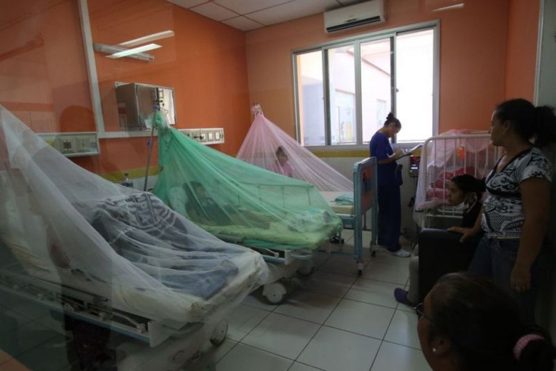 Paraguay: habría cuatro fallecidos por dengue