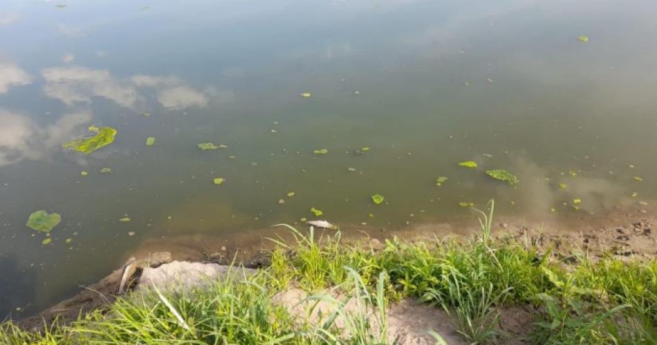 "Existen evidencias que demuestran que la contaminación proviene de Tucumán"