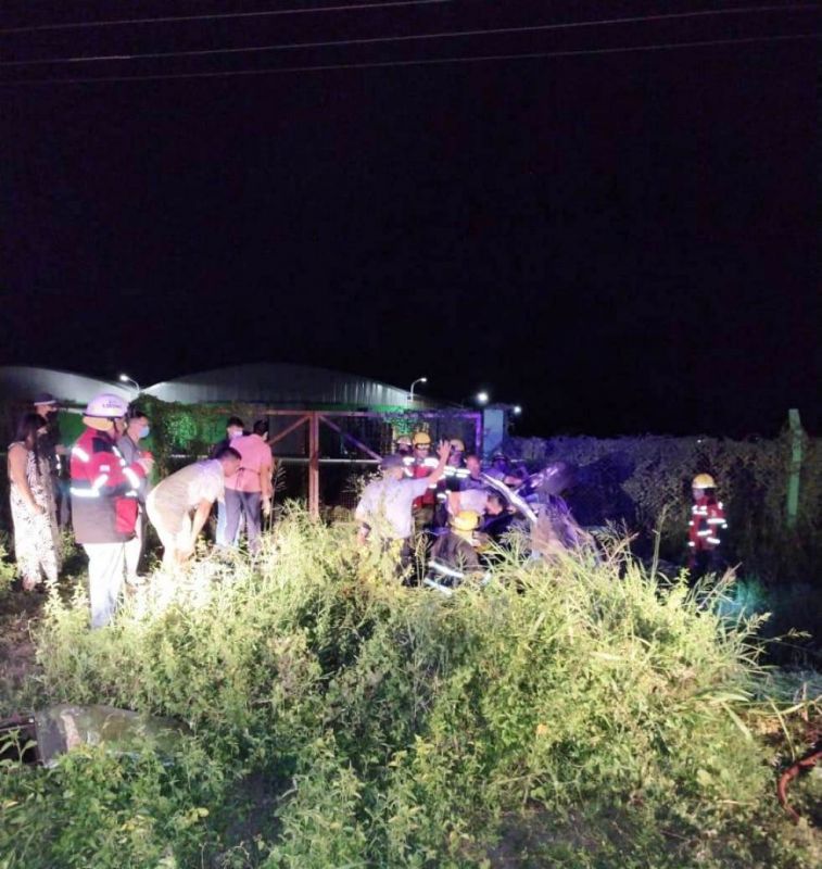 Un caballo suelto provocó un siniestro vial con dos muertos en la ruta 16