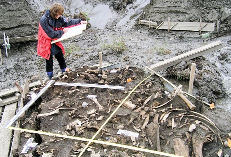 Dos dientes de hace 31.000 años revelan la existencia de una antigua población humana.