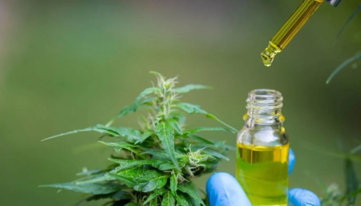 La ANMAT autorizó la comercialización del primer aceite de cannabis producido en Argentina