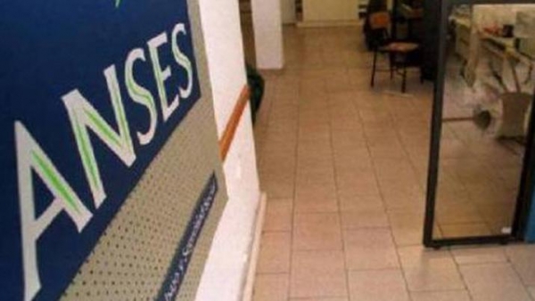 Anses: explican qué trámites pueden hacerse por "Ventanilla única"