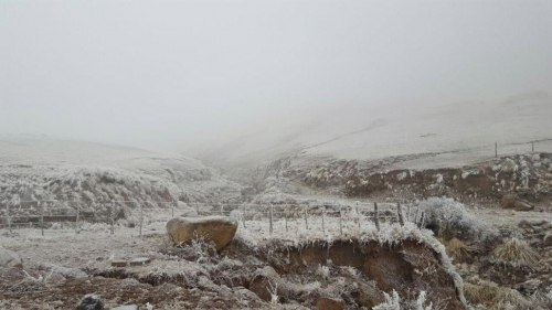 Los Valles Calchaquíes amanecieron cubiertos por un manto de nieve