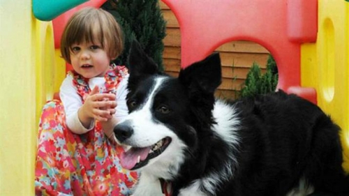 Su perro los ayudó a detectar a tiempo el cáncer de su hija de dos años