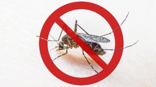 Dengue: una epidemia silenciosa y en aumento
