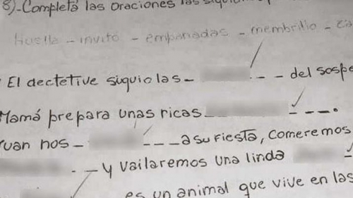 Sorpresa e indignación por un grosero error de ortografía de una profesora de Lengua de 3º grado