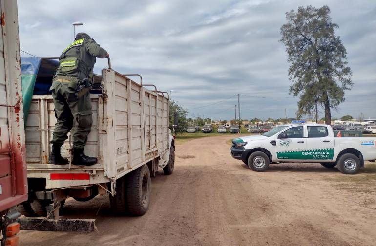 Avia Terai: Incautaron casi 30.000 kilos de soja, valuados en más de un millón de pesos