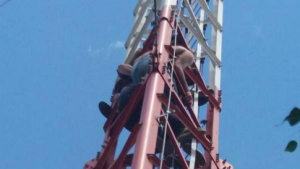 Se trepó a una torre para suicidarse porque dejó con su novia