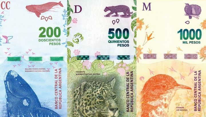 Con fecha de salida, anunciaron cuándo sacarán a los animales de los billetes
