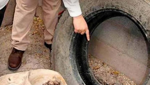 Por las lluvias piden evitar los criaderos del Aedes aegypti