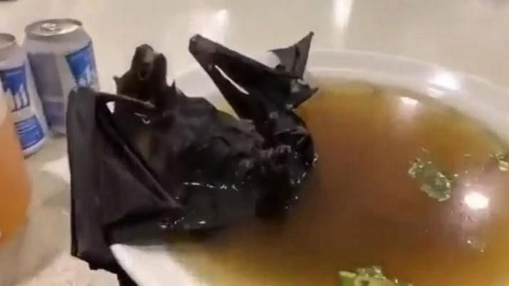 Wuhan prohibió el consumo de murciélagos, víboras y carnes de animales salvajes