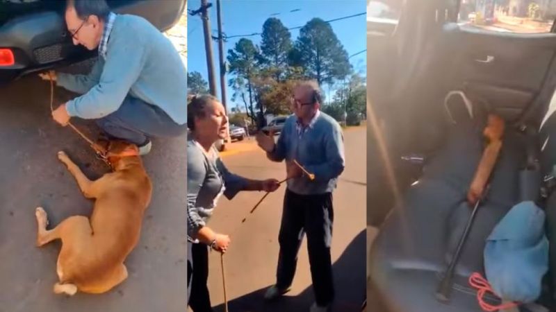 Arrastraba a su perro con una camioneta y fue detenido por los vecinos