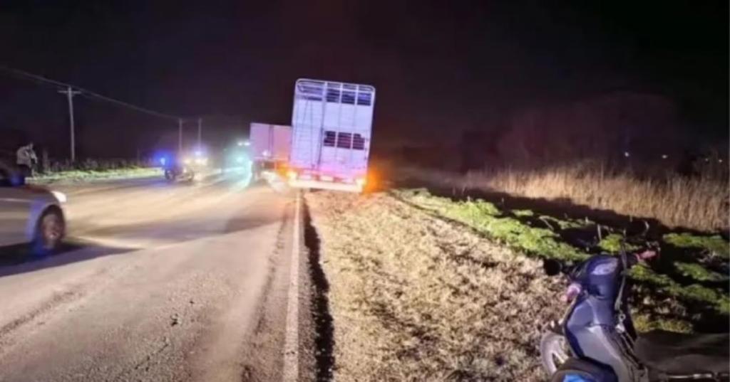 Fatal accidente: iba en moto con su hija, cayó al asfalto y murió atropellada por un camión.